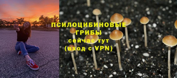 мдпв Армянск